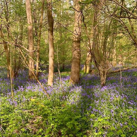 Bluebell Annexe Villa Little Grandsen Exteriör bild
